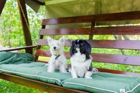 Poppelstrand Nuuksio, Pet Friendly Guest Apartment Exteriér fotografie